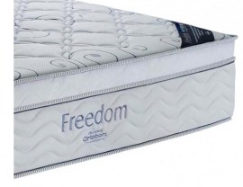 Freedom 26